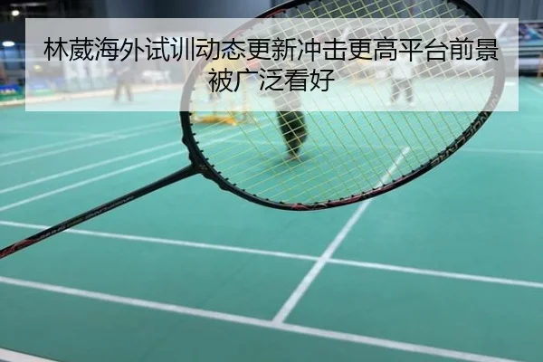 林葳海外试训动态更新冲击更高平台前景被广泛看好
